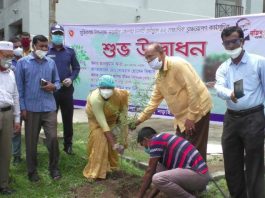 নড়াইলে বঙ্গবন্ধু'র জন্মশতবার্ষিকী উপলক্ষ্যে বৃক্ষ রোপণ কর্মসূচির উদ্বোধন