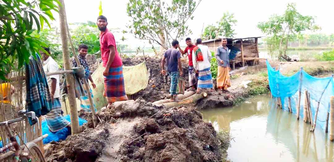 নড়াইলে ২১টি মা'ছের ঘের কে'টে দে'য়ায় প্র'তিবা'দ