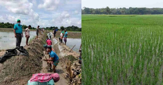 নড়াইলে প্রশাসন ও কৃষি বিভাগের হস্তক্ষেপে অবৈ/ধ ক্যানেল কেটে দেওয়ায় কৃষকের মুখে হাসি