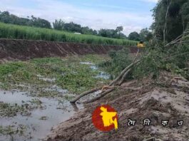 লোহাগড়ায় মুক্তিযোদ্ধার শতাধিক গাছ ও ফসল ভেকু দিয়ে নষ্ট করেছে ঠিকাদার, অভিযোগ দায়ের