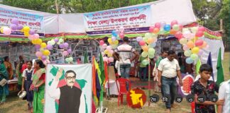 নড়াইলে জাতীয় প্রাথমিক শিক্ষা সপ্তাহ ২০২৩ পালিত