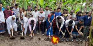 নড়াইলে প্রথমবারের মত প্রত্নতত্ব অধিদপ্তরের খনন কাজের উদ্বোধন